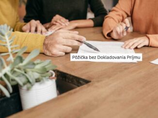 Pôžička bez Dokladovania Príjmu
