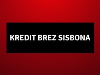 Kredit brez SISBONA