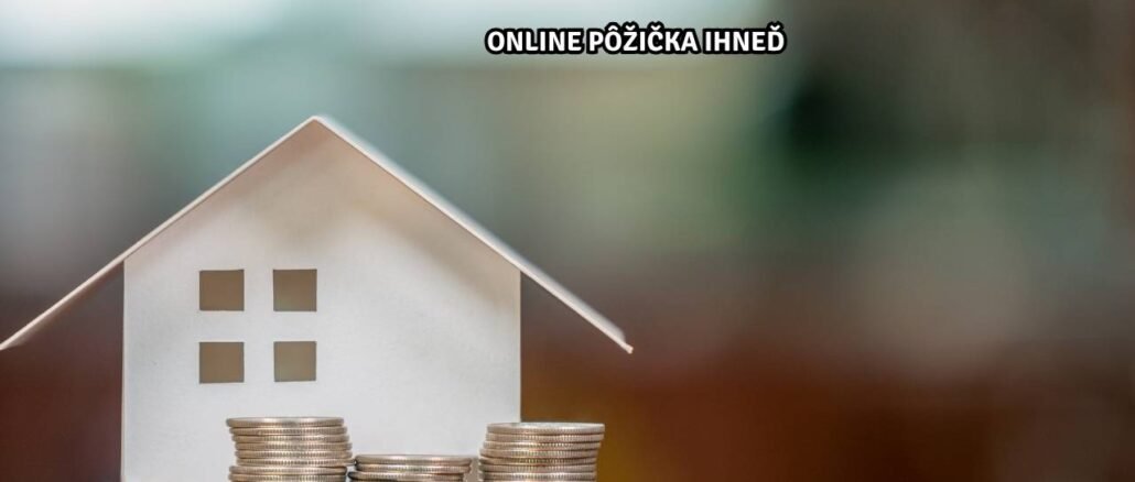 Online pôžička ihneď