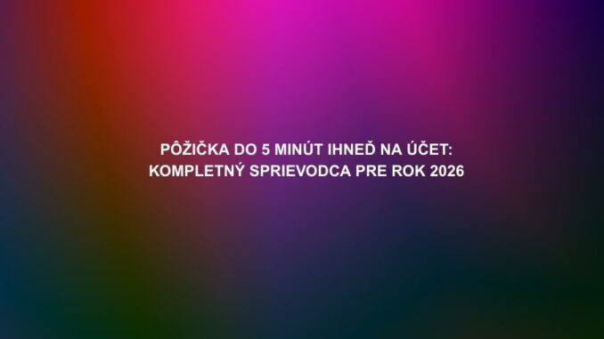 Pôžička do 5 minút