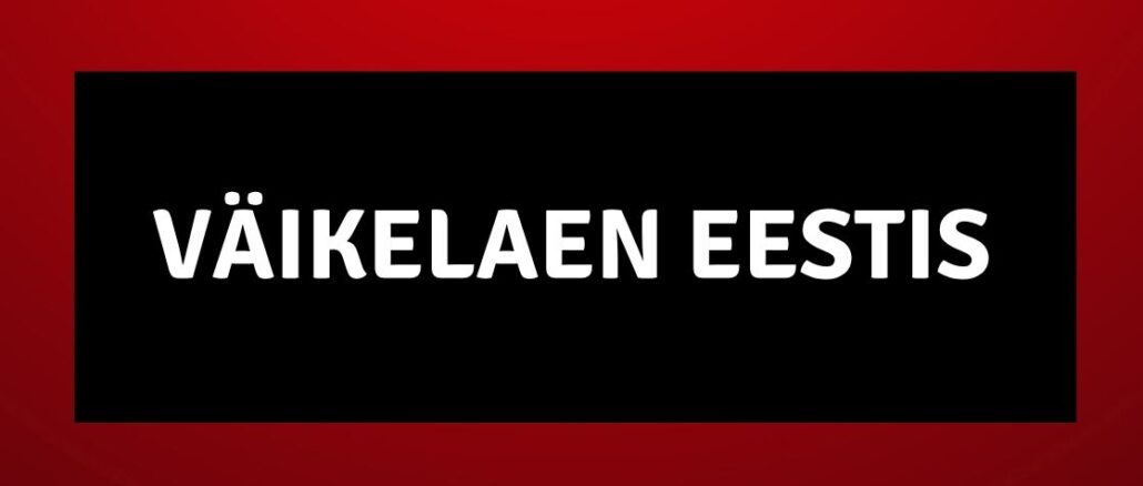 Väikelaen Eestis