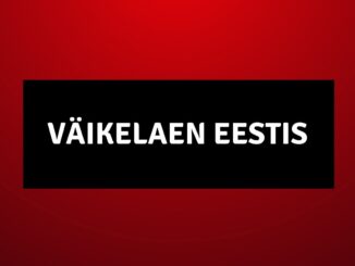 Väikelaen Eestis