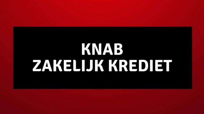 Knab Zakelijk Krediet