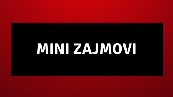 mini zajmovi